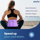 REVIX 2-Pack Large Cold Packs for Back